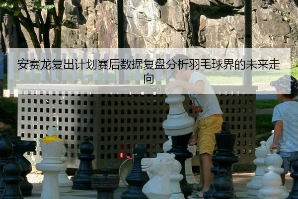 安赛龙复出计划赛后数据复盘分析羽毛球界的未来走向